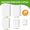 image14 Packs Stretched Canvases for Painting Multi Pack 11x14 944x12 8x10 5x7 4x4 Round Canvas with 8x810x102 of Each Blank Primed Canvas for Oil Paint Acrylic Paint for Beginners Artists20ps5size x4