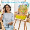 image14 Packs Stretched Canvases for Painting Multi Pack 11x14 944x12 8x10 5x7 4x4 Round Canvas with 8x810x102 of Each Blank Primed Canvas for Oil Paint Acrylic Paint for Beginners Artists3 Packs1Sizes 2436in