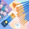 imageESRICH Paint Brushes Set20 Pack 240 Pcs Nylon Hair Paintbrushes RoundPointed Tip Paint BrushArtist Paint Brushes for Acrylic PaintingAcrylic Oil Watercolor Face ArtsKids Adult Drawing12p