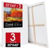3Pack-30X40 Canvas