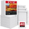 40 Packs-1Sizes( 8*10in)