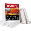 image30 Pack Canvases for Painting with 4x4 5x7 8x10 9x12 11x14 12x16 Painting Canvas for Oil ampamp Acrylic Paint10X10IN 10 Packs