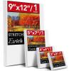 imageESRICH 4 Pack Stretched Canvas for Painting with 9x12 5x7 4x4 3x3 Primed AcidFree Cotton Blank Canvases for Painting Painting Canvas for Oil ampamp Acrylic Paint4PCS4sizes1 of Each