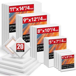 image14 Packs Stretched Canvases for Painting Multi Pack 11x14 944x12 8x10 5x7 4x4 Round Canvas with 8x810x102 of Each Blank Primed Canvas for Oil Paint Acrylic Paint for Beginners Artists20ps5size x4