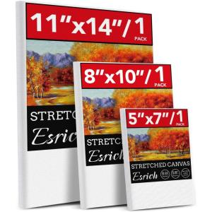 image3 Pack Canvases for Painting with Multi Pack 11x14 5x7 8x10 Painting Canvas for Oil ampamp Acrylic Paint3 Packs  3Sizes1 of Each