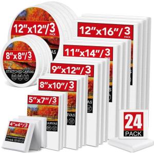 image30 Pack Canvases for Painting with 4x4 5x7 8x10 9x12 11x14 12x16 Painting Canvas for Oil ampamp Acrylic Paint24 Packs  8 Sizes 3 of Each