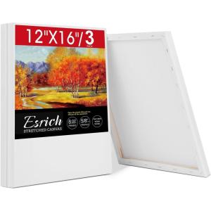 imageESRICH Stretched Canvas for Painting 5 Pack 8x10 Canvas Value Pack Primed AcidFree Cotton Blank Canvas Paint Canvases for Oil ampamp Acrylic Paint12x16