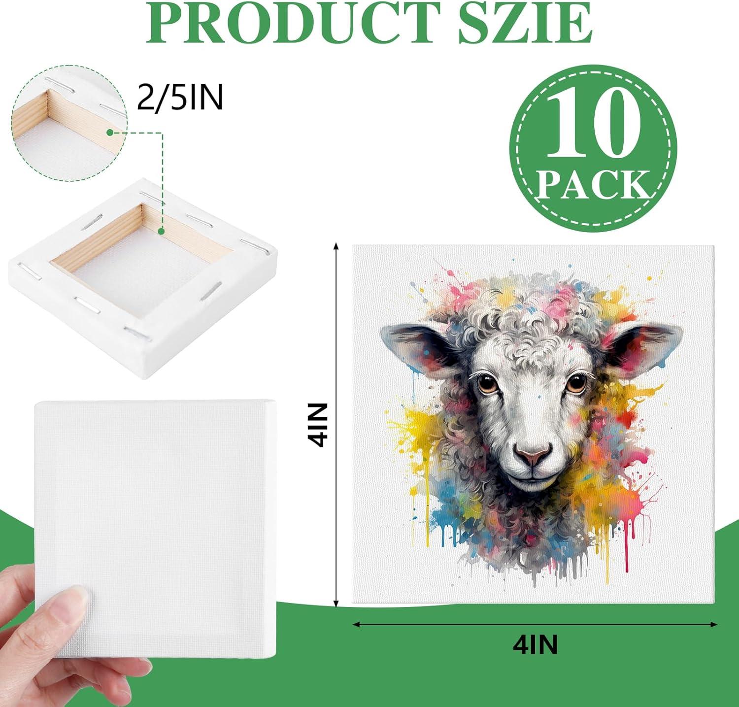 imageESRICH Mini Canvases for Painting4x4In Canvas in Bulk 10Pack 25In Profile Small Square Canvas Blank Canvases are Great for School Projects and Kids Birthday Parties Home Decor Project