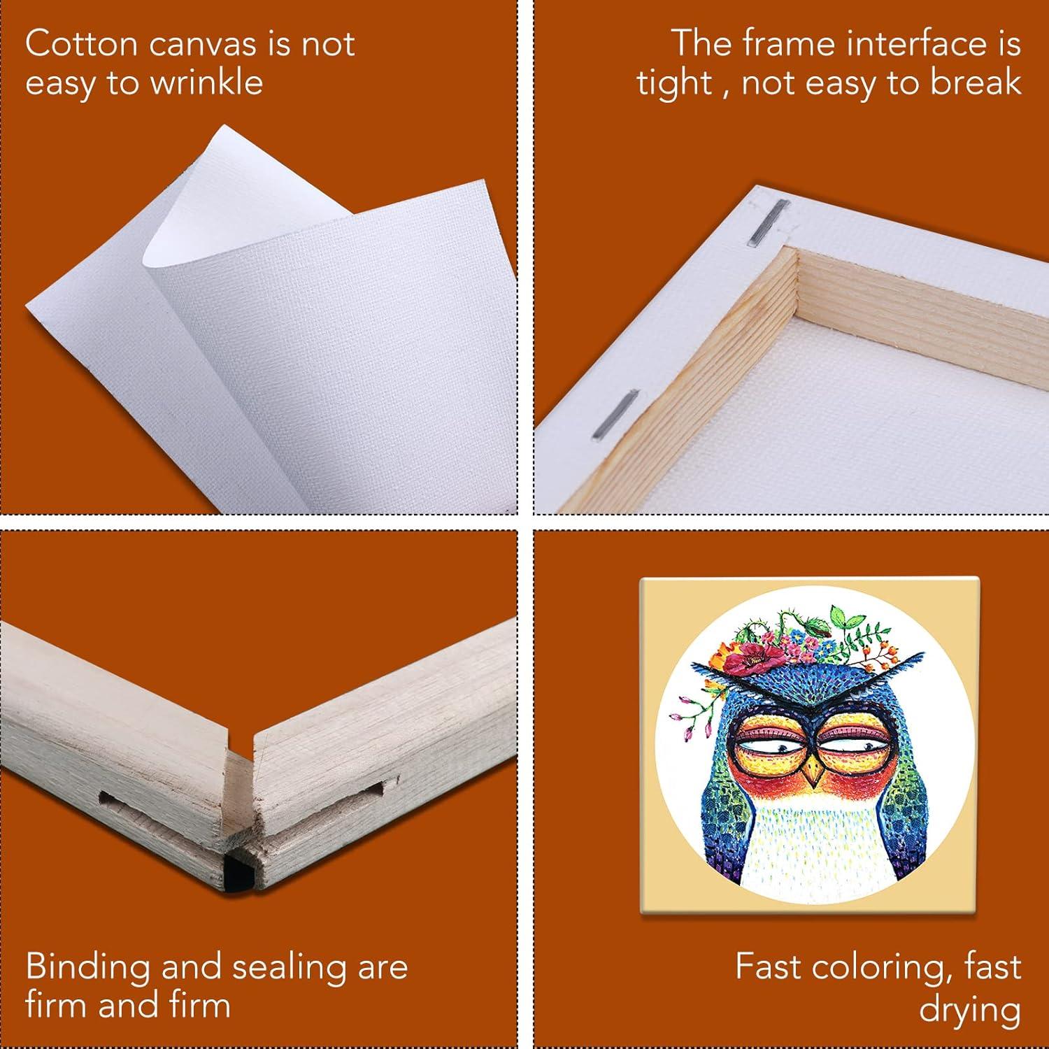 imageESRICH Stretched Canvas 6 Pack 8x8 Primed AcidFree Wood Framed Blank Canvas Art Canvases for Beginners Artists Used for Oil Acrylic Paint Pouring Painting20 Packs Stretched Canvas  2424in