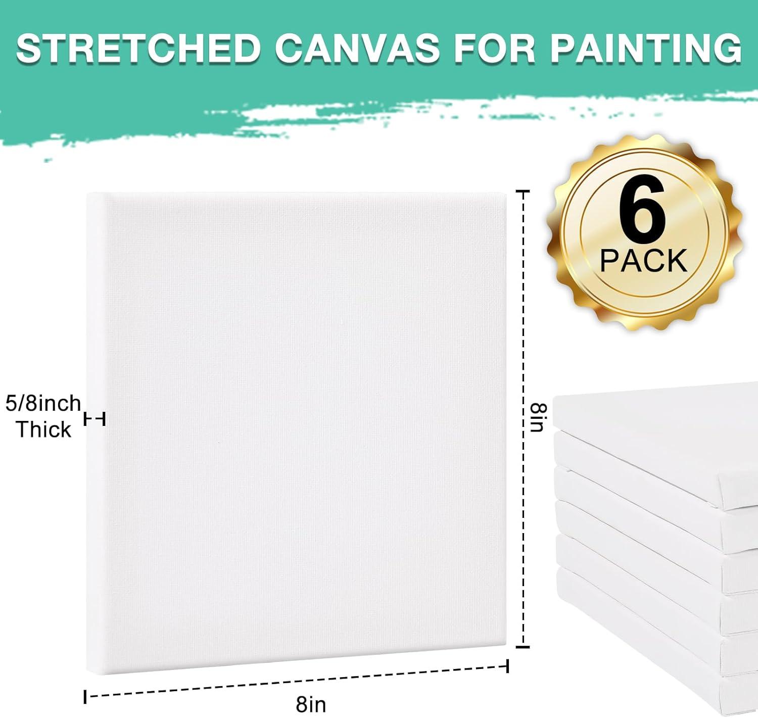 imageESRICH Stretched Canvas 6 Pack 8x8 Primed AcidFree Wood Framed Blank Canvas Art Canvases for Beginners Artists Used for Oil Acrylic Paint Pouring Painting6 Packs Stretched Canvas  88in