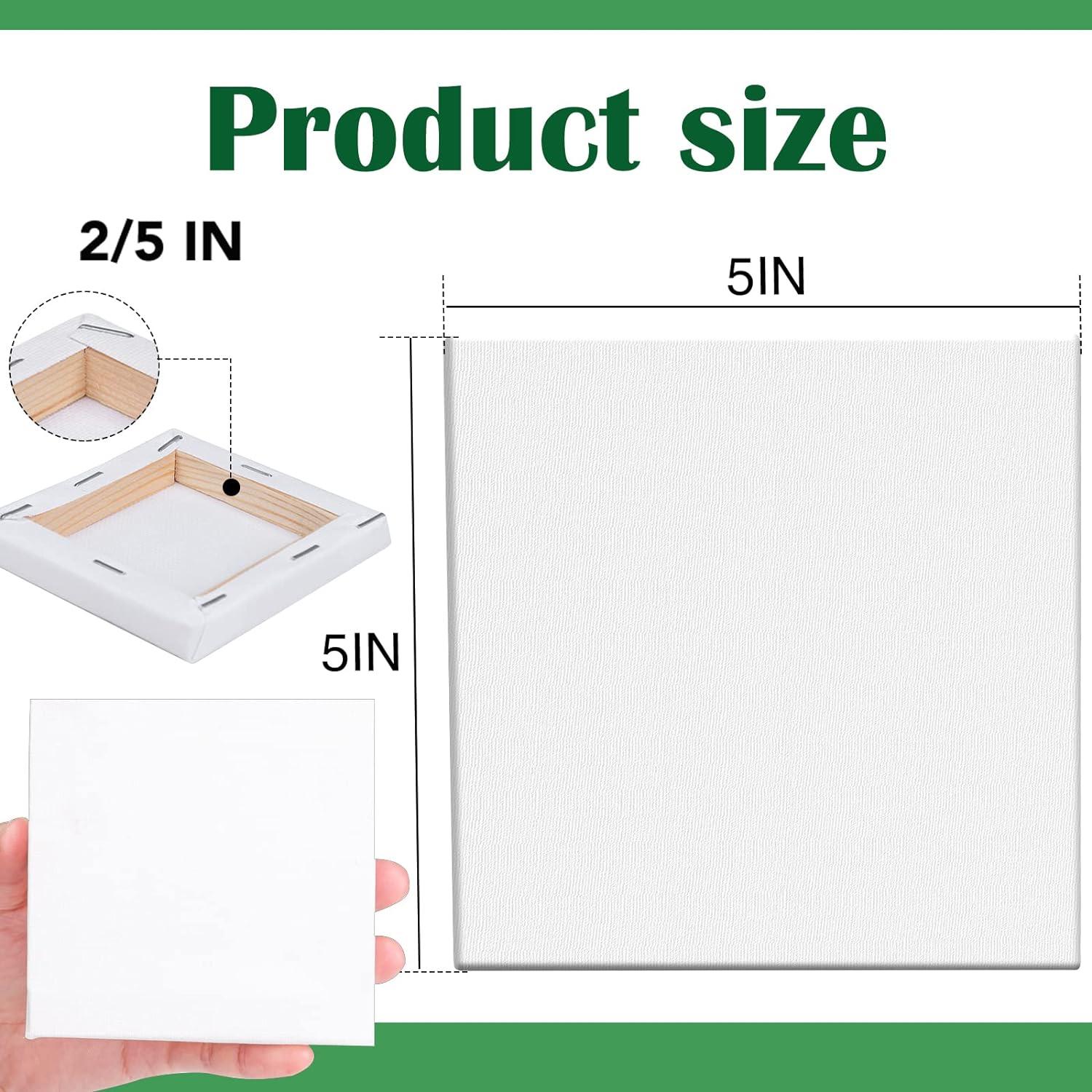 imageESRICH Stretched Canvas 6 Pack 8x8 Primed AcidFree Wood Framed Blank Canvas Art Canvases for Beginners Artists Used for Oil Acrylic Paint Pouring Painting10 Packs Stretched Canvas  55in