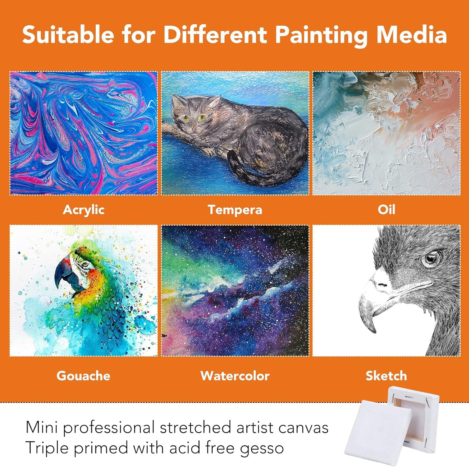 imageESRICH Stretched Canvas 6 Pack 8x8 Primed AcidFree Wood Framed Blank Canvas Art Canvases for Beginners Artists Used for Oil Acrylic Paint Pouring Painting20 Packs Stretched Canvas  2424in