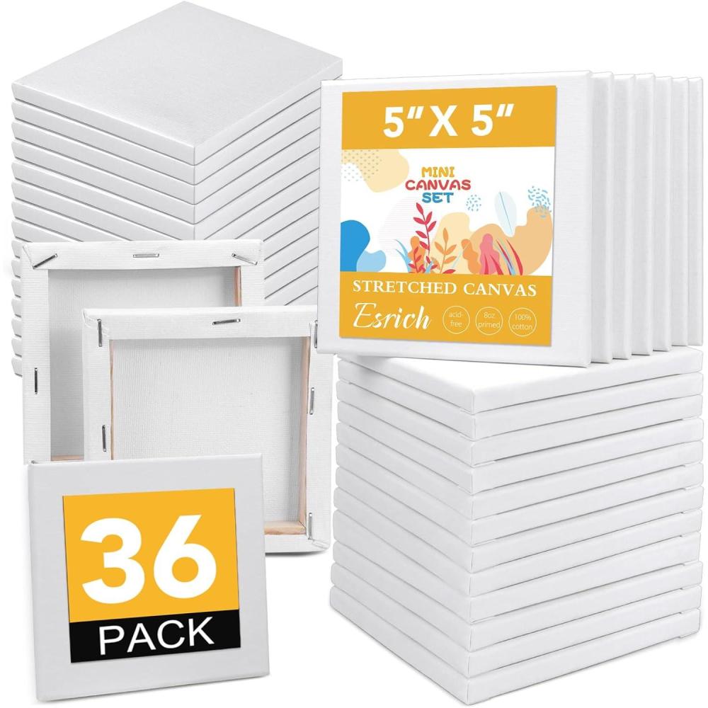 imageESRICH Mini Canvases for Painting Mini Canvas Bulk 200 Pack 24x24In 25In Profile Small Square Canvas Blank Canvases are Great for School Projects and Kids Birthday Parties Home Decor Project5x5in36 Packs