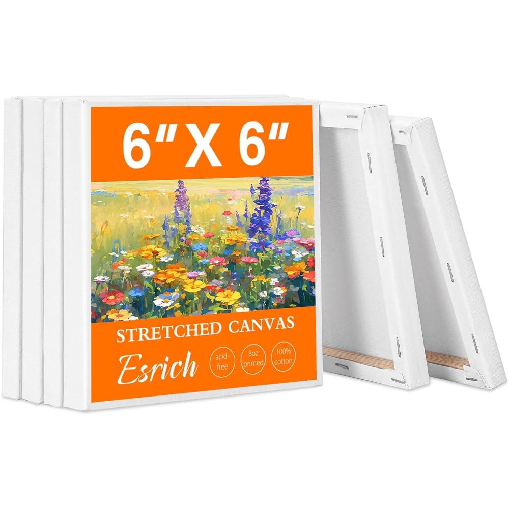 imageESRICH Small Stretched Canvas for Painting 6x6 inch 25Profile Art Primed 6 Pack Canvases for Painting Cotton Small Professional Blank Paint Canvas for Kids and Art Supplies for Acrylics Oils6x6in6P