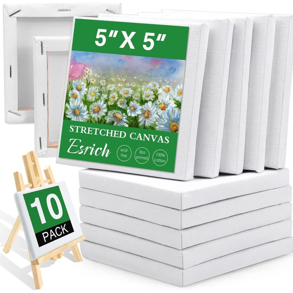 imageESRICH Stretched Canvas 6 Pack 8x8 Primed AcidFree Wood Framed Blank Canvas Art Canvases for Beginners Artists Used for Oil Acrylic Paint Pouring Painting10 Packs Stretched Canvas  55in