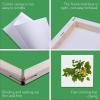 imageESRICH Stretched Canvas 6 Pack 8x8 Primed AcidFree Wood Framed Blank Canvas Art Canvases for Beginners Artists Used for Oil Acrylic Paint Pouring Painting10 Packs Stretched Canvas  55in