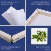 imageESRICH Stretched Canvas 6 Pack 8x8 Primed AcidFree Wood Framed Blank Canvas Art Canvases for Beginners Artists Used for Oil Acrylic Paint Pouring Painting12 Packs Stretched Canvas  44in