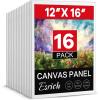 12*16in 16pack
