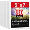 imageESRICH Canvases for Painting 11x14 30 Pack Canvas Boards for Painting Cotton Primed Acid Free Blank Canvas Panels for Oil Paint Watercolor Acrylic Paint Gouache and Tempera5x7