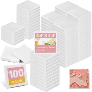 imageESRICH Mini Canvases for Painting Canvas in Bulk 32Pack 3x3In 25In Profile Small Square Canvas Blank Canvases are Great for School Projects and Kids Birthday Parties Home Decor Project24x24in100 Packs