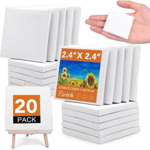 imageESRICH Stretched Canvas 6 Pack 8x8 Primed AcidFree Wood Framed Blank Canvas Art Canvases for Beginners Artists Used for Oil Acrylic Paint Pouring Painting20 Packs Stretched Canvas  2424in