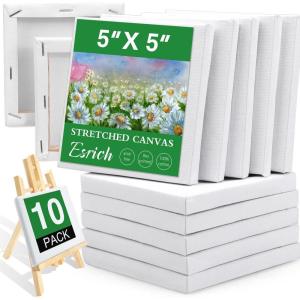 imageESRICH Stretched Canvas 6 Pack 8x8 Primed AcidFree Wood Framed Blank Canvas Art Canvases for Beginners Artists Used for Oil Acrylic Paint Pouring Painting10 Packs Stretched Canvas  55in
