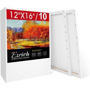 imageESRICH Stretched Canvas for Painting 32x48 Inch 3Pack Large Canvas for Painting Primed AcidFree Cotton Blank Canvases Art Paint Canvases for Oil PaintWatercolorAcrylic PaintGouache and Tempera12x16in10Pack