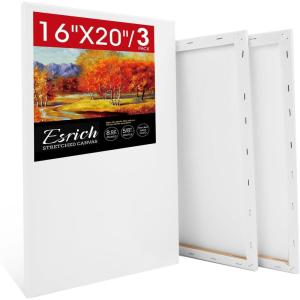 imageESRICH Stretched Canvas for Painting 5x7 60 Pack Small Canvases for Painting 58 Profile Primed AcidFree Blank Painting Canvas for Kids amp Artists for Decorations Painting Parties3Pack16x20 Canvas
