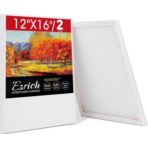 imageESRICH 10x10 Stretched Canvas for Painting 2 Pack Square Canvas for Painting Primed AcidFree Framed Blank Canvas Art Canvases for Beginners amp Artists to Paint Oil Acrylic Pouring Painting12x16in
